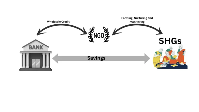 SHGs, orchestrated by NGOs and diverse agencies, receive financial support from banks.