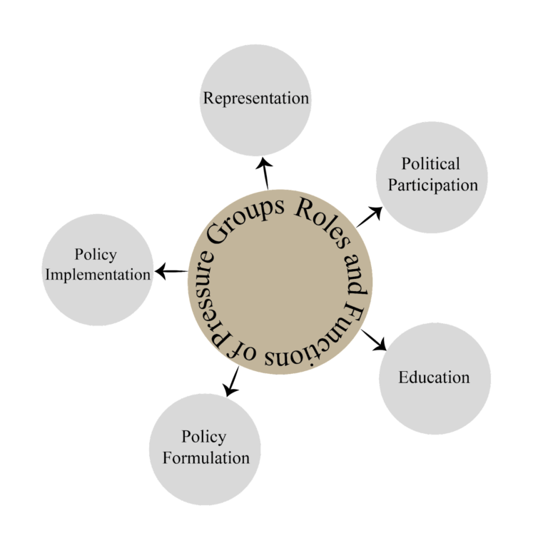 Roles-and-Functions-of-Pressure-Groups